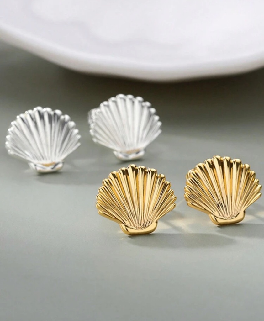 Zarcillos pequeños, concha marina 
